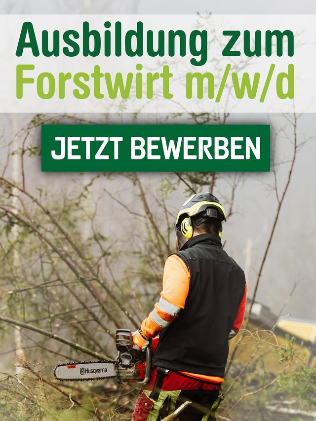 🌲 Ausbildung zum Forstwirt (m/w/d)

Starte im September 2026 deine Ausbildung i