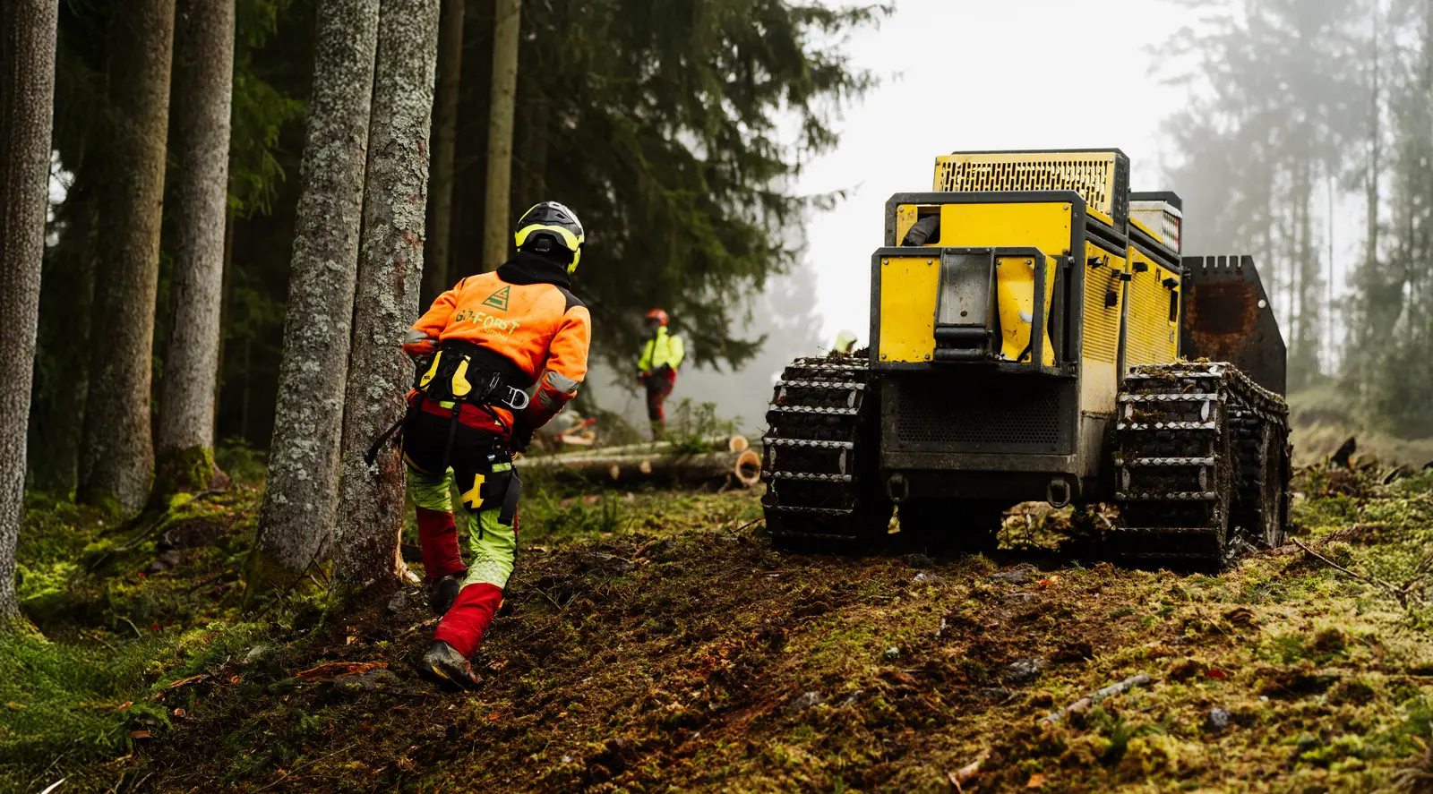 Rauptrac RT50 Forstraupe - GJ Forst