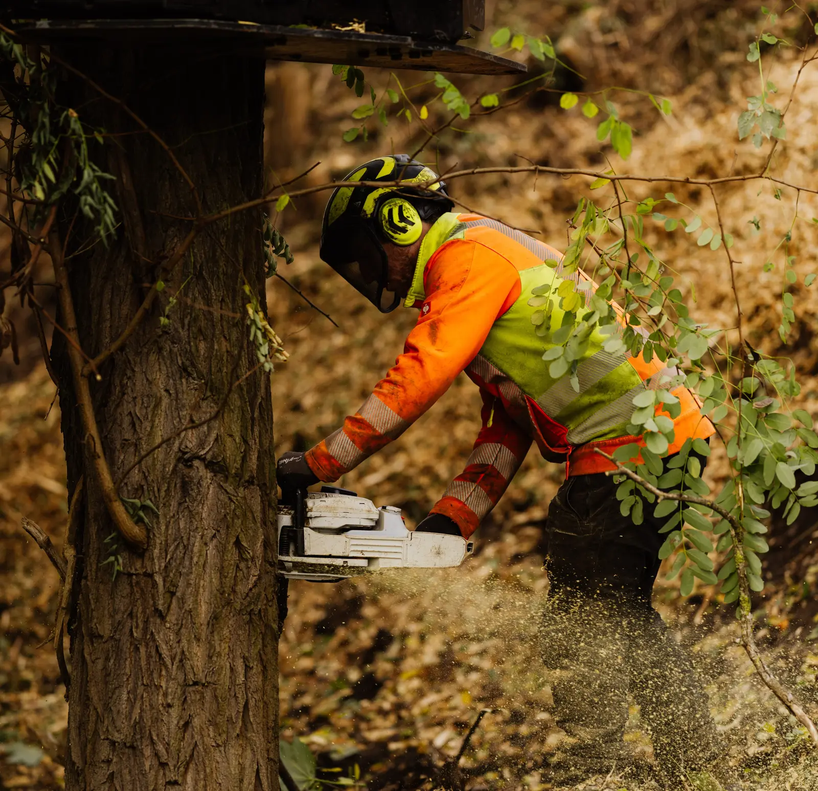 Forstdienstleistungen