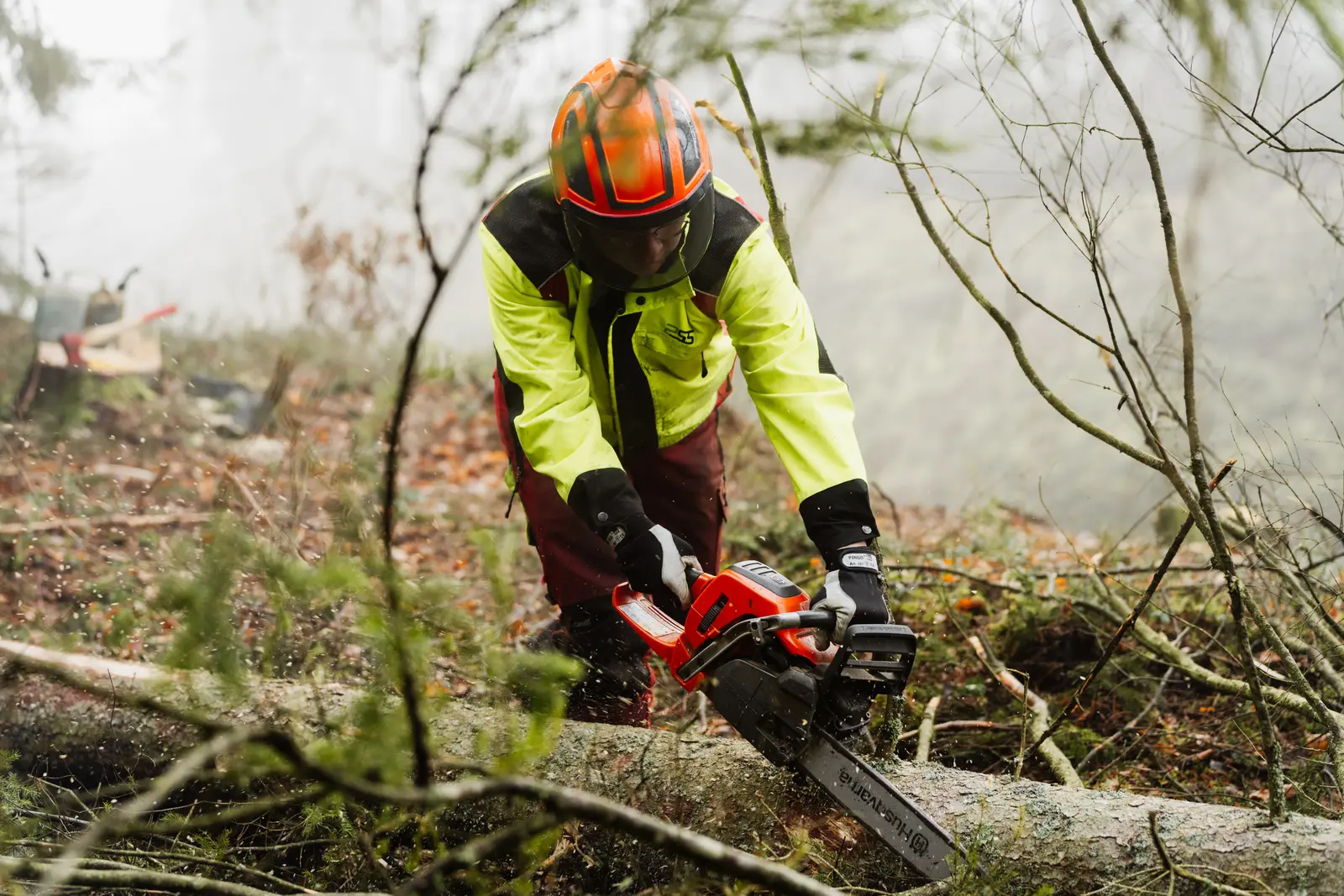 Forstdienstleistungen