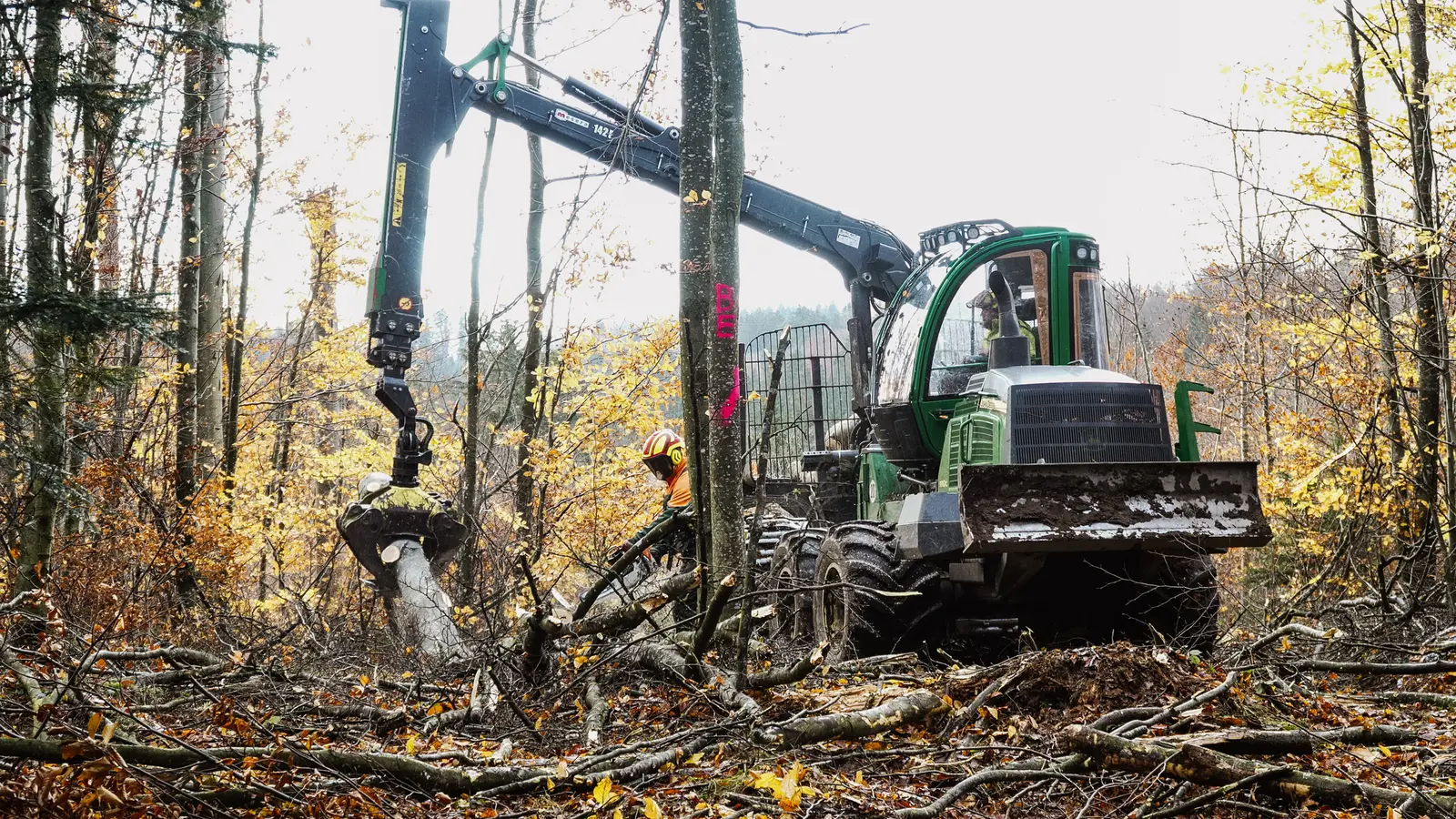 Maschinelle & Motormanuelle Holzernte